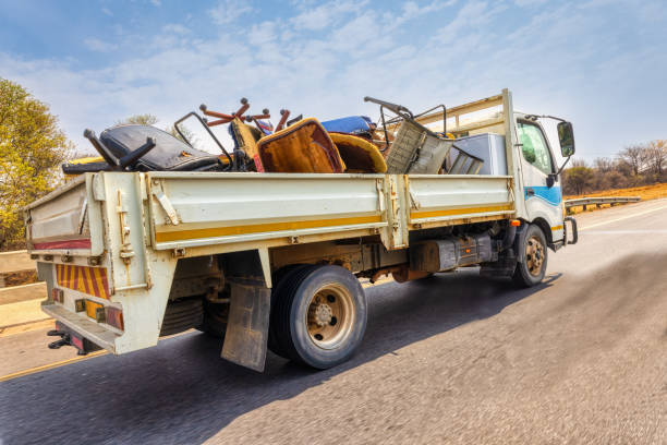 Best Office Cleanout  in Elkton, VA